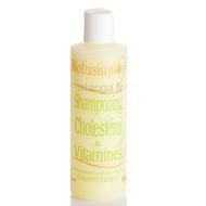 BIOFUSIUM 33-Shampooing Cholestérol BIOFUSIUM 33-Shampooing Cholestérol
